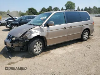 2003 Honda Odyssey EX-L with VIN 5FNRL18733B078171, listed as a Copart auction lot 60522095 with 188,387 mi miles and Salvage title. Bid and sale history available at DreamBid. Image 1.