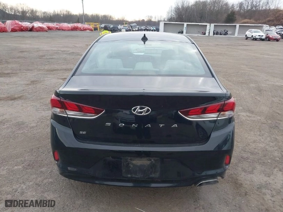 2019 Hyundai Sonata SE with VIN 5NPE24AF7KH734294, listed as a IAAI auction lot 41661304 with 50,355 mi miles. Bid and sale history available at carsss.com. Image 16.