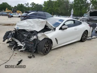 2019 BMW 8 Series M850i xDrive with VIN WBABC4C5XKBU96184, listed as a Copart auction lot 48598015 with Not Provided miles and Non Repairable. Bid and sale history available at DreamBid. Image 1.