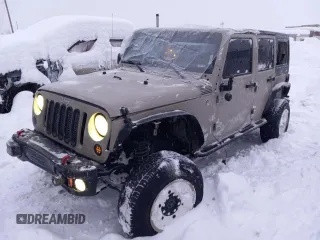 2017 Jeep Wrangler Unlimited Sport with VIN 1C4BJWDGXHL725485, listed as a Copart auction lot 84560064 with 110,315 mi miles and Salvage title. Bid and sale history available at DreamBid. Image 1.
