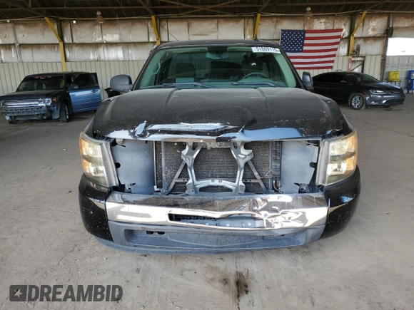 2009 Chevrolet Silverado 1500 Work Truck with VIN 1GCEC14X69Z159141, listed as a Copart auction lot 51869115 with 232,836 mi miles and Salvage Title. Bid and sale history available at DreamBid. Image 5.