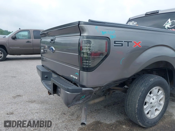 2011 Ford F-150 XL with VIN 1FTEX1CM1BFC49915, listed as a IAAI auction lot 39541134 with 176,854 mi miles and . Bid and sale history available at DreamBid. Image 6.