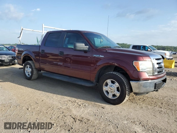 2009 Ford F-150 XL with VIN 1FTRW14889KC37087, listed as a Copart auction lot 58106134 with 225,464 mi miles and Salvage Title. Bid and sale history available at DreamBid. Image 4.