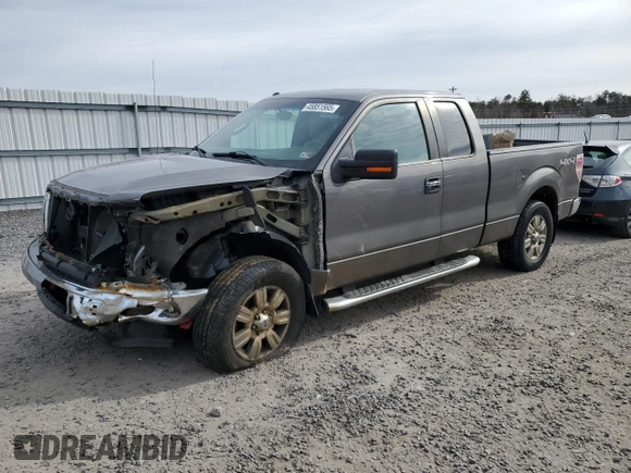 2010 Ford F-150 XL with VIN 1FTFX1EV0AFD15024, listed as a Copart auction lot 45851565 with 164,712 mi miles and Salvage Title. Bid and sale history available at DreamBid. Image 1.