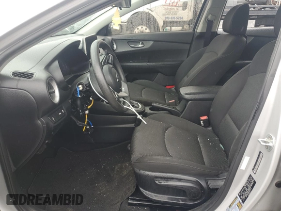 2019 Kia Forte LXS with VIN 3KPF24AD9KE067252, listed as a Copart auction lot 59881855 with 67,894 mi miles and Salvage title. Bid and sale history available at DreamBid. Image 7.