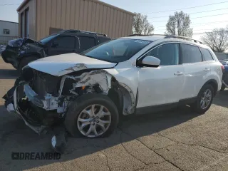 2015 Mazda CX-9 Touring with VIN JM3TB3CV3F0450497, listed as a Copart auction lot 53841845 with 124,550 mi miles and Salvage Title. Bid and sale history available at carsss.com. Image 1.