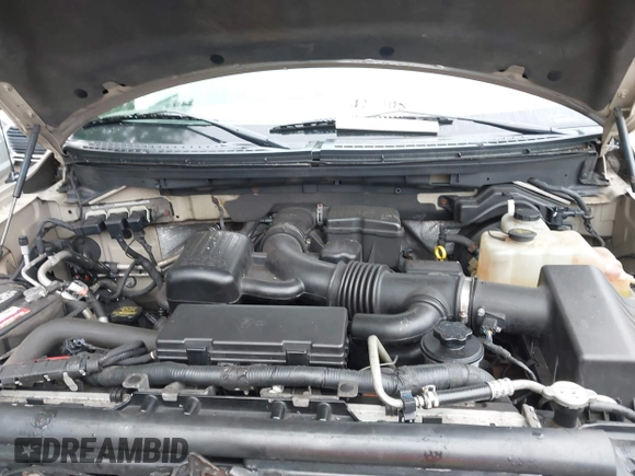 2010 Ford F-150 XL with VIN 1FTFX1EV0AFC83319, listed as a IAAI auction lot 42290517 with 166,472 mi miles and . Bid and sale history available at DreamBid. Image 10.