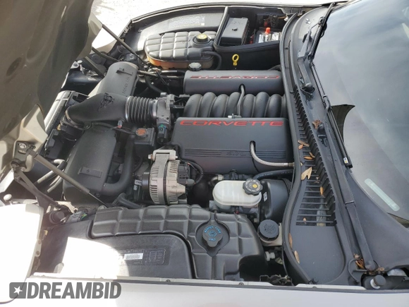 1999 Chevrolet Corvette with VIN 1G1YY12G0X5132872, listed as a Copart auction lot 79515674 with 33,522 mi miles and Salvage Title. Bid and sale history available at carsss.com. Image 12.