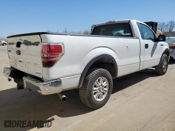2013 Ford F-150 XL with VIN 1FTPF1CF5DKD70051, listed as a Copart auction lot 48748135 with 204,755 mi miles and Salvage title. Bid and sale history available at DreamBid. Image 3.
