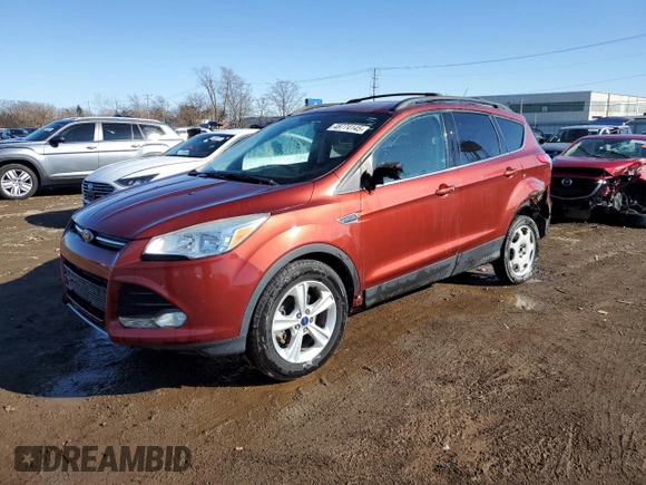 2014 Ford Escape SE with VIN 1FMCU0GXXEUD49389, listed as a Copart auction lot 48774145 with 104,066 mi miles and Salvage Title. Bid and sale history available at carsss.com. Image 1.