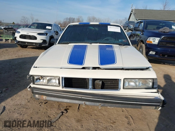 1988 Chevrolet Celebrity z VIN 1G1AW51W4J6137291, wystawiony jako IAAI lot #41777521 z przebiegiem 163 299 mil mil oraz . Historia ofert i sprzedaży dostępna na DreamBid. Obrazek 13.