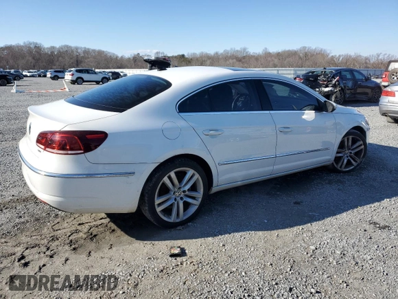 2014 Volkswagen CC Lux with VIN WVWRN7AN1EE506295, listed as a Copart auction lot 46024195 with 143,535 mi miles and Clean Title. Bid and sale history available at carsss.com. Image 3.