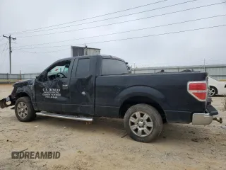 2011 Ford F-150 XL with VIN 1FTEX1CM4BFC75666, listed as a Copart auction lot 48788495 with 414,969 mi miles and Clean Title. Bid and sale history available at carsss.com. Image 2.