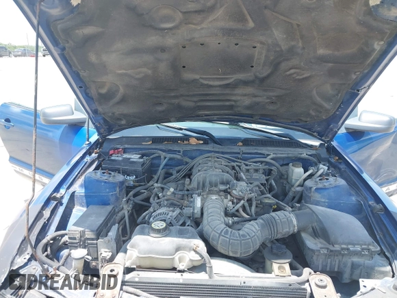 2009 Ford Mustang с VIN 1ZVHT80N595126582, выставлен на аукционе IAAI как лот 42414209 с пробегом 142 002 миль миль и . История ставок и продаж доступна на DreamBid. Изображение 10.
