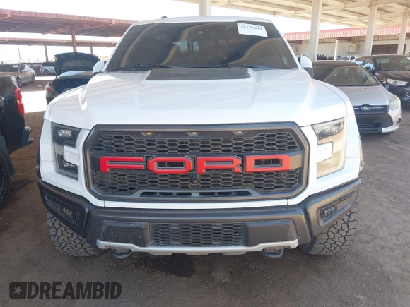 2017 Ford F-150 Raptor with VIN 1FTFW1RG7HFA84244, listed as a IAAI auction lot 42175442 with 123,009 mi miles and . Bid and sale history available at carsss.com. Image 6.