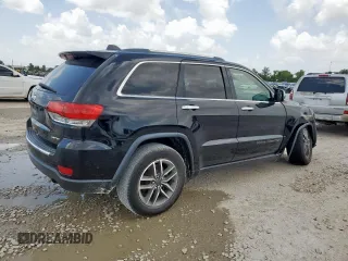 2020 Jeep Grand Cherokee Limited with VIN 1C4RJEBG6LC300611, listed as a Copart auction lot 60841195 with Not provided miles and Salvage title. Bid and sale history available at DreamBid. Image 3.