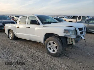 2010 Dodge Dakota Bighorn/Lonestar with VIN 1D7RW3GK8AS212476, listed as a Copart auction lot 81830154 with Not Provided miles and Salvage Title. Bid and sale history available at DreamBid. Image 4.