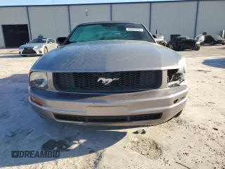 2006 Ford Mustang Standard with VIN 1ZVFT84N965262467, listed as a Copart auction lot 49697655 with 171,122 mi miles and Salvage Title. Bid and sale history available at carsss.com. Image 5.