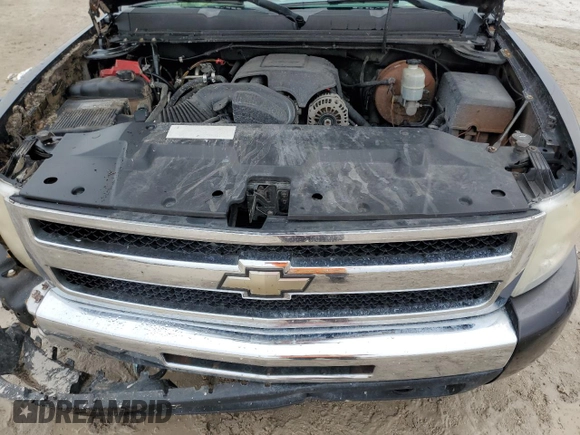 2010 Chevrolet Silverado 1500 LS with VIN 1GCSKREA4AZ159478, listed as a Copart auction lot 42081925 with Not Provided miles and Salvage Title. Bid and sale history available at DreamBid. Image 12.