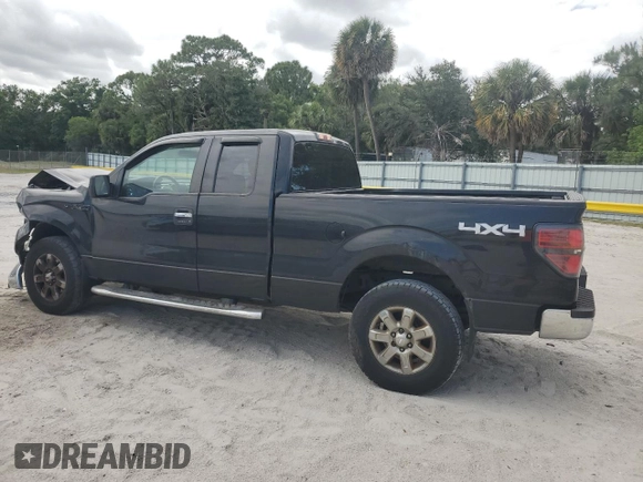 2013 Ford F-150 XL with VIN 1FTFX1EF7DFA59025, listed as a Copart auction lot 55050095 with 102,067 mi miles and Salvage Title. Bid and sale history available at DreamBid. Image 2.