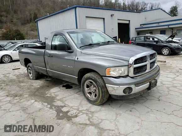 2005 Dodge 1500 SLT with VIN 1D7HA16N85J519734, listed as a Copart auction lot 46169615 with Not Provided miles and Salvage Title. Bid and sale history available at carsss.com. Image 10.