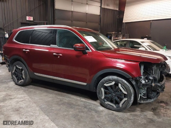 2024 Kia Telluride S with VIN 5XYP6DGC0RG415394, listed as a IAAI auction lot 41345025 with 16,970 mi miles. Bid and sale history available at carsss.com. Image 1.