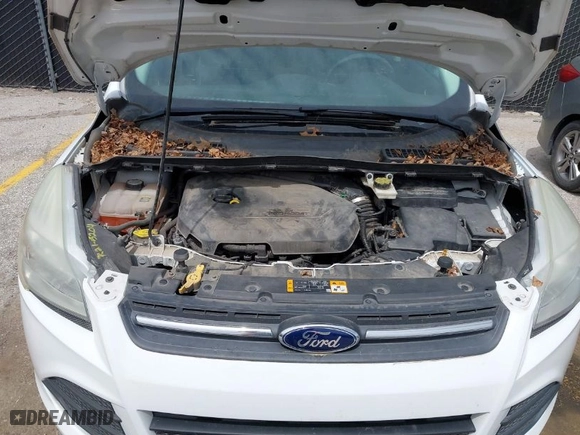 2013 Ford Escape SE with VIN 1FMCU0GX7DUB24877, listed as a IAAI auction lot 42038426 with 126,207 mi miles. Bid and sale history available at carsss.com. Image 10.