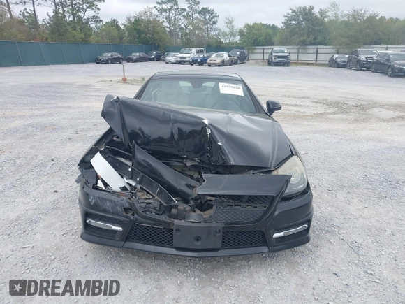 2014 Mercedes-Benz SLK 250 with VIN WDDPK4HA4EF079437, listed as a IAAI auction lot 41958020 with 95,063 mi miles and . Bid and sale history available at DreamBid. Image 12.