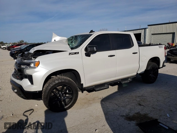 2022 Chevrolet Silverado 1500 LT Trail Boss with VIN 3GCUDFEL2NG661169, listed as a Copart auction lot 73760814 with Not Provided miles and Salvage Title. Bid and sale history available at DreamBid. Image 1.