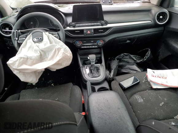 2019 Kia Forte LXS with VIN 3KPF24AD1KE081596, listed as a Copart auction lot 60381985 with Not provided miles and Salvage title. Bid and sale history available at DreamBid. Image 8.