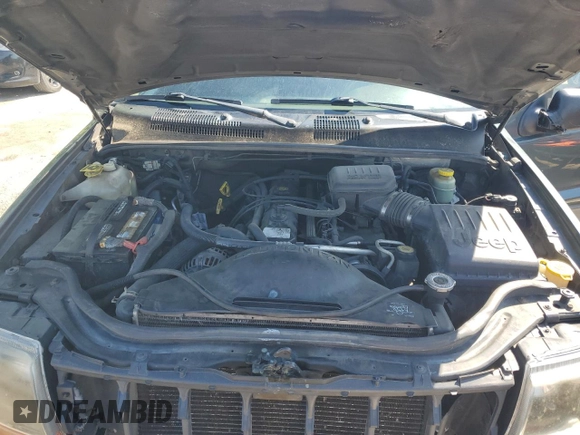 2002 Jeep Grand Cherokee Laredo with VIN 1J4GW48S02C174656, listed as a Copart auction lot 56954155 with 235,427 mi miles and Salvage title. Bid and sale history available at DreamBid. Image 12.