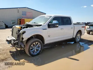 2016 Ford F-150 XLT with VIN 1FTEW1EG4GFA83973, listed as a Copart auction lot 58862585 with 172,557 mi miles and Salvage title. Bid and sale history available at DreamBid. Image 1.