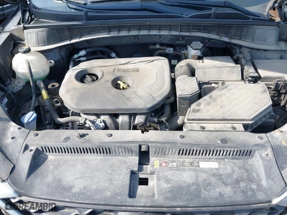 2019 Hyundai Tucson Value with VIN KM8J3CA41KU066384, listed as a IAAI auction lot 41524315 with 52,903 mi miles. Bid and sale history available at carsss.com. Image 10.