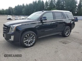 2019 Cadillac Escalade Premium Luxury with VIN 1GYS4CKJ1KR306055, listed as a Copart auction lot 60855715 with 63,784 mi miles and Salvage title. Bid and sale history available at DreamBid. Image 1.
