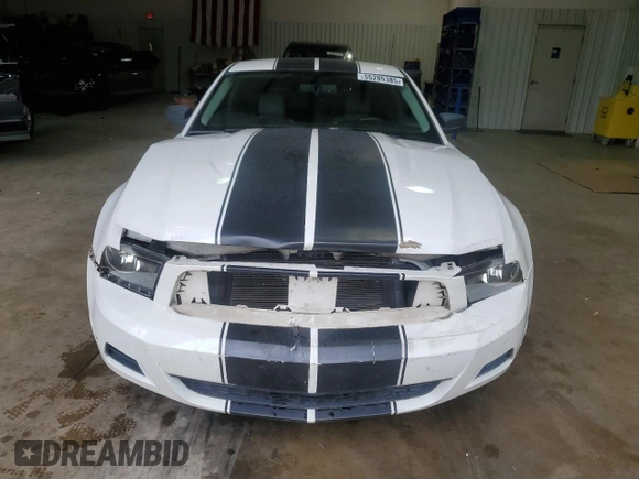 2010 Ford Mustang V6 with VIN 1ZVBP8ANXA5130978, listed as a Copart auction lot 55285385 with 127,633 mi miles and Salvage Title. Bid and sale history available at DreamBid. Image 5.