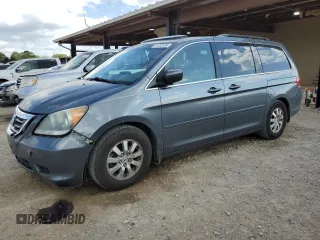2010 Honda Odyssey EX-L with VIN 5FNRL3H65AB071013, listed as a Copart auction lot 51932435 with 234,318 mi miles and Clean Title. Bid and sale history available at carsss.com. Image 1.