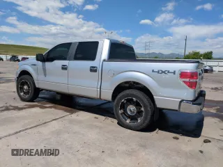 2010 Ford F-150 XL with VIN 1FTFW1EV0AFC02614, listed as a Copart auction lot 58043545 with 138,149 mi miles and Salvage title. Bid and sale history available at DreamBid. Image 2.
