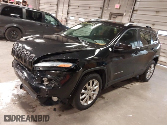 2014 Jeep Cherokee Limited with VIN 1C4PJMDS2EW202518, listed as a IAAI auction lot 41911156 with 119,533 mi miles. Bid and sale history available at carsss.com. Image 17.