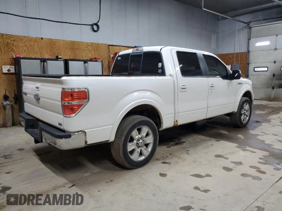 2010 Ford F-150 XL with VIN 1FTFW1EV1AFC96308, listed as a Copart auction lot 61661115 with 226,594 mi miles and Clean title. Bid and sale history available at DreamBid. Image 3.