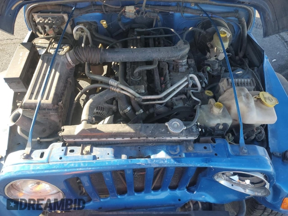 2003 Jeep Wrangler X z VIN 1J4FA39S33P320254, wystawiony jako Copart lot #52392525 z przebiegiem 206 325 mil mil oraz Szkoda całkowita • Salvage title. Historia ofert i sprzedaży dostępna na DreamBid. Obrazek 12.