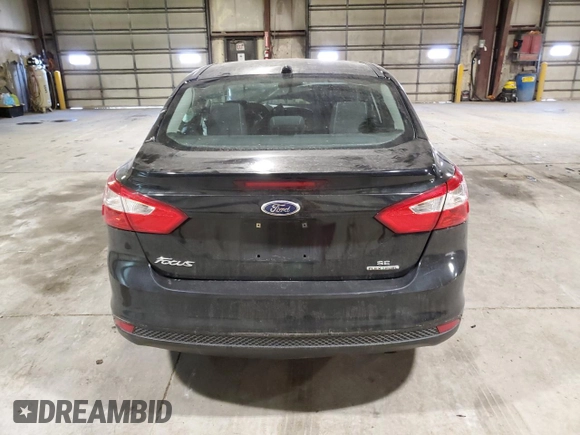 2014 Ford Focus SE with VIN 1FADP3F24EL205341, listed as a Copart auction lot 48691175 with 135,910 mi miles and Salvage Title. Bid and sale history available at carsss.com. Image 6.