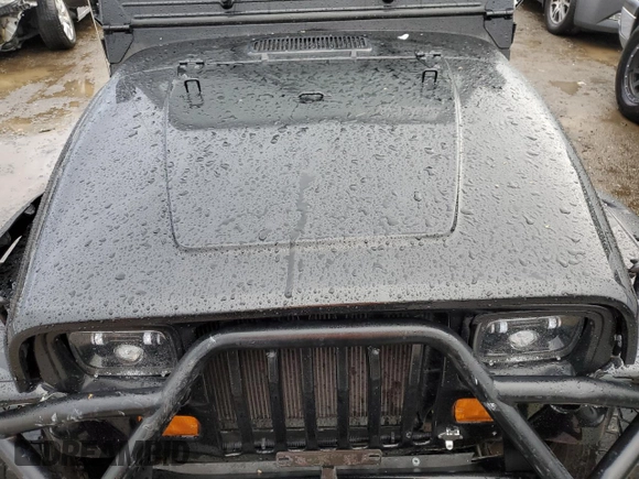 1995 Jeep Wrangler S with VIN 1J4FY19P6SP204427, listed as a Copart auction lot 44130185 with 373,692 mi miles and Salvage Title. Bid and sale history available at carsss.com. Image 12.