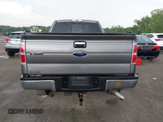 2010 Ford F-150 XL with VIN 1FTEX1E83AFD64062, listed as a IAAI auction lot 42550600 with 135,059 mi miles and . Bid and sale history available at DreamBid. Image 17.