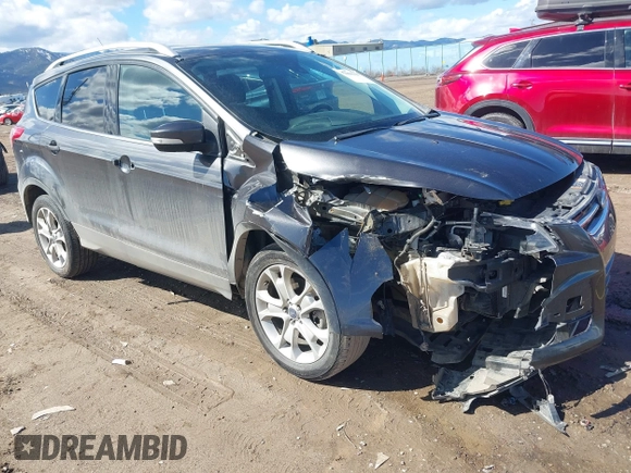 2016 Ford Escape Titanium with VIN 1FMCU9J96GUB96009, listed as a IAAI auction lot 41866127 with 132,990 mi miles and . Bid and sale history available at DreamBid. Image 1.