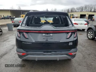 2024 Hyundai Tucson Limited with VIN 5NMJECDE8RH392333, listed as a Copart auction lot 47833745 with 8,110 mi miles and Salvage Title. Bid and sale history available at carsss.com. Image 6.