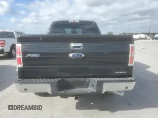 2014 Ford F-150 XL with VIN 1FTEX1EM6EFA79441, listed as a Copart auction lot 49386485 with Not Provided miles and Salvage Title. Bid and sale history available at carsss.com. Image 6.