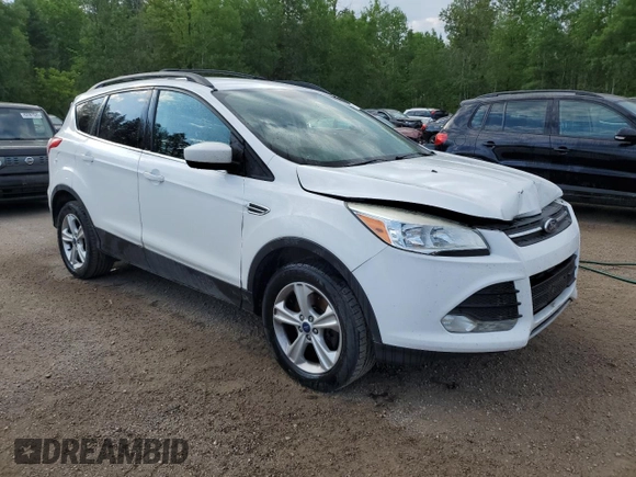 2013 Ford Escape SE with VIN 1FMCU0G92DUB03176, listed as a Copart auction lot 62180025 with 169,419 mi miles and Clean title. Bid and sale history available at DreamBid. Image 4.