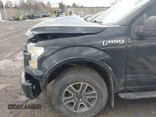 2016 Ford F-150 XLT with VIN 1FTFX1EF5GFC08651, listed as a IAAI auction lot 41898070 with 175,306 mi miles and . Bid and sale history available at carsss.com. Image 20.