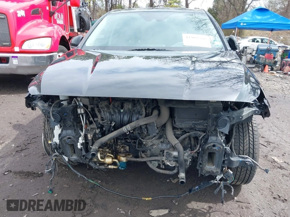 2019 Hyundai Santa Fe SE with VIN 5NMS2CAD3KH092150, listed as a IAAI auction lot 41902766 with 46,595 mi miles and . Bid and sale history available at DreamBid. Image 12.