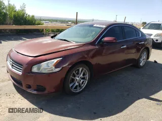2010 Nissan Maxima S with VIN 1N4AA5AP3AC802655, listed as a Copart auction lot 58196095 with 199,487 mi miles and Salvage title. Bid and sale history available at DreamBid. Image 1.